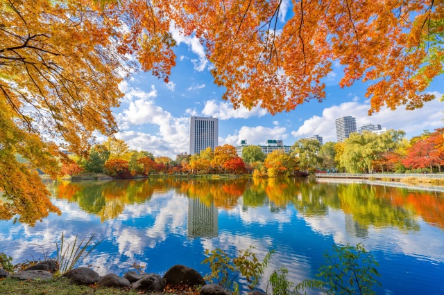 Nakajima Park