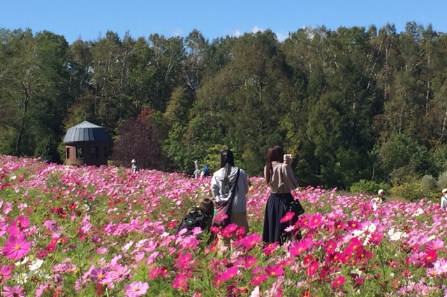 国営滝野すずらん丘陵公園