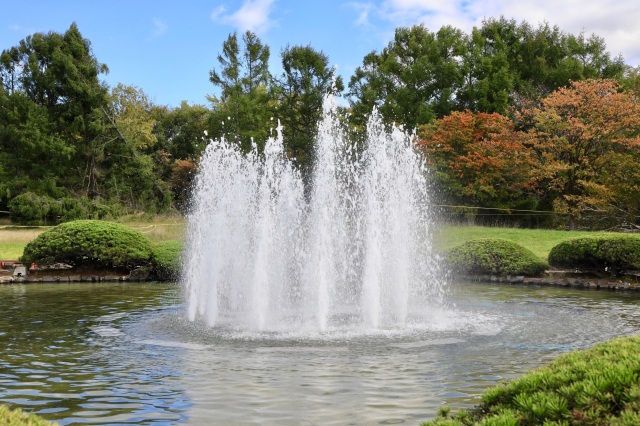 道立自然公園野幌森林公園