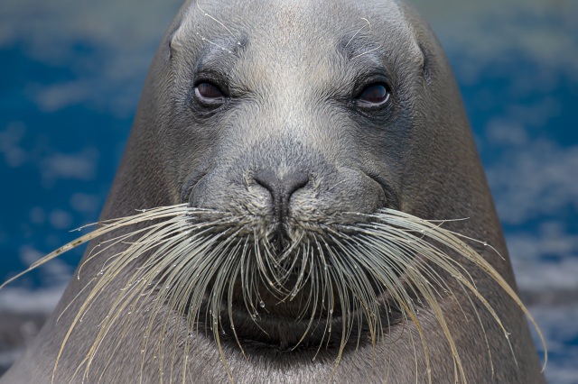 小樽水族馆