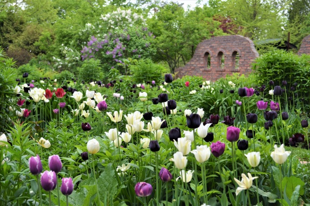 Ueno Farm (Hokkaido Garden Path)