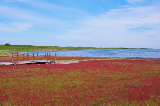 Wakka Wild Flower Garden