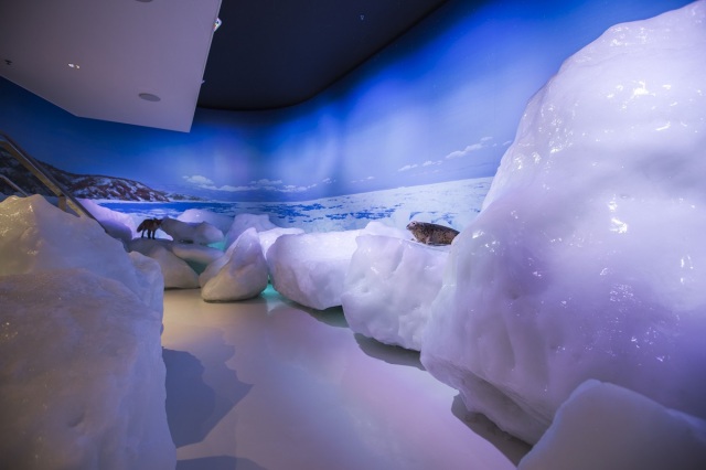 オホーツク流氷館・天都山展望台