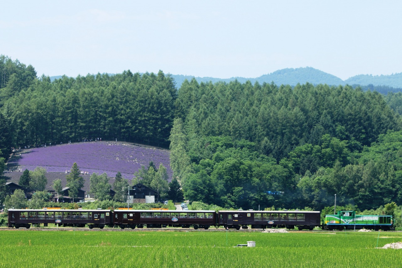 富良野 美瑛ノロッコ号 旅に便利な移動手段 公式 北海道の観光 旅行情報サイト Hokkaido Love