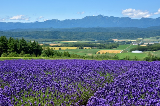 Furano Jam Garden / Rokugou Observatory