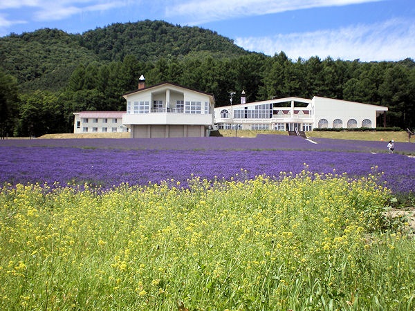 富良野高地酒店