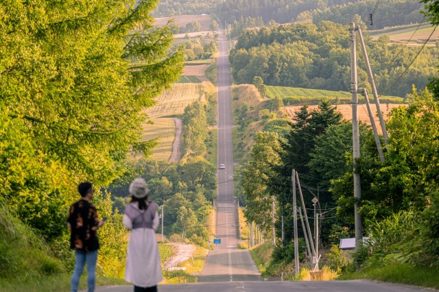 제트코스터의 길