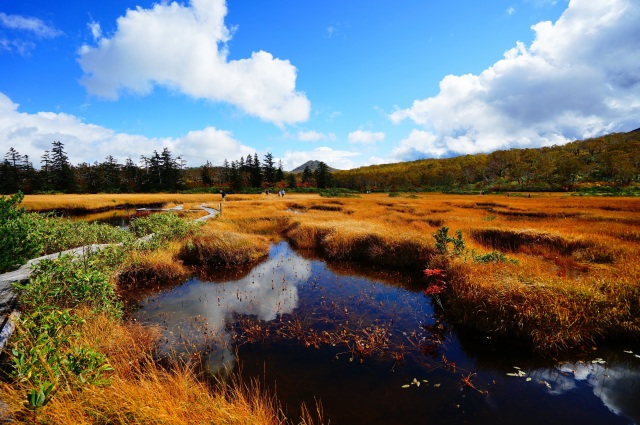 Shinsen Marsh