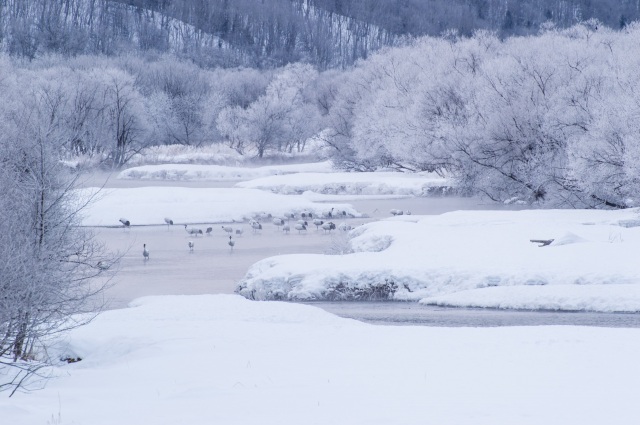 雪裡川