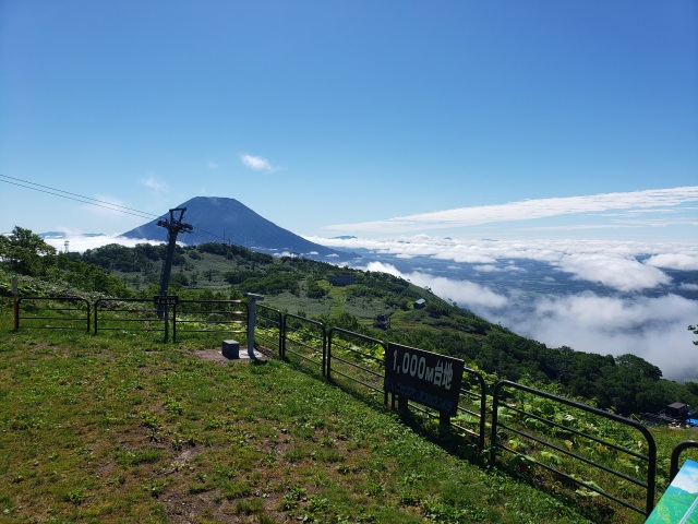 展望広場からの眺め