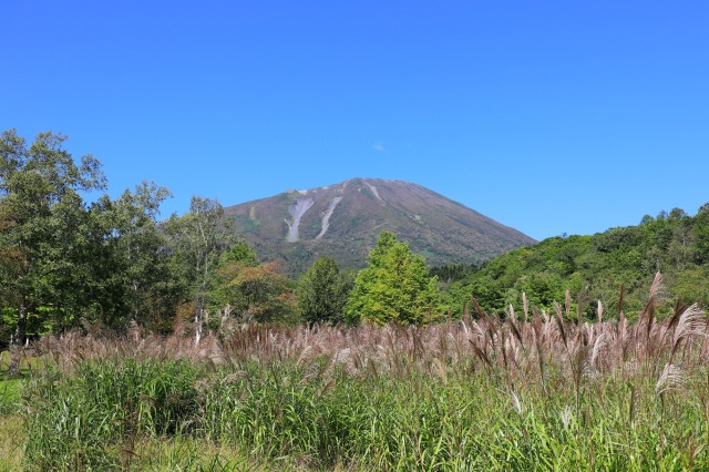 羊蹄山自然公園