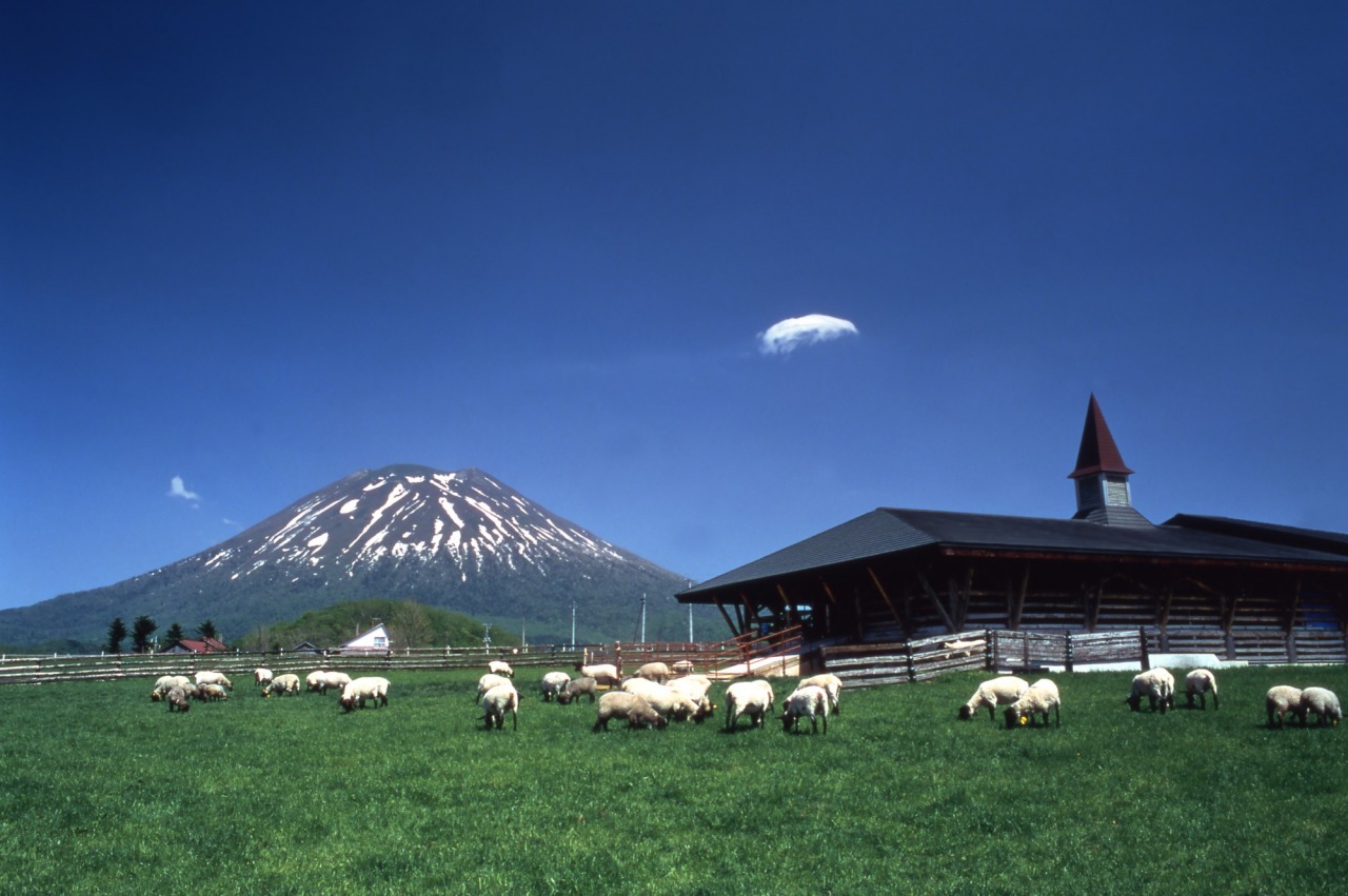 羊蹄山