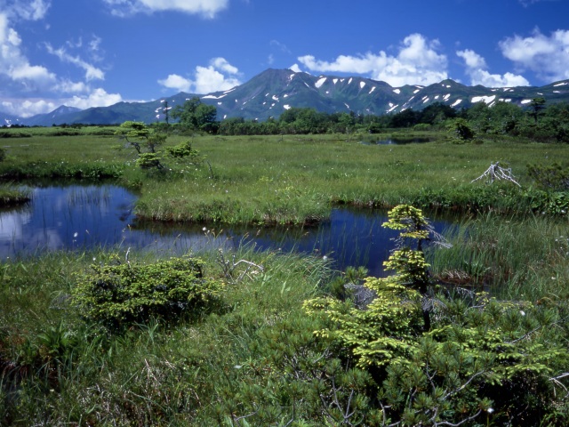 沼ノ原