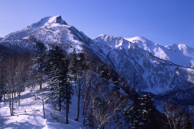 黒岳スキー場