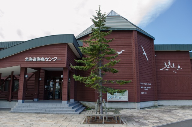 北海道海鳥センター