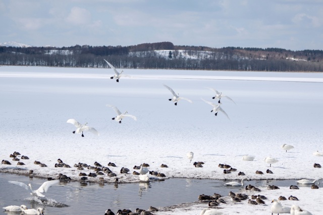 Lake Kutcharo/Lake Kutcharo Lake Water Festival