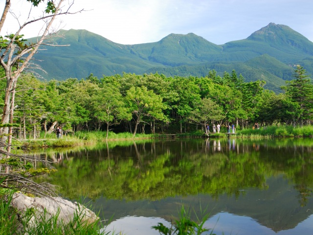 知床世界遺産センター