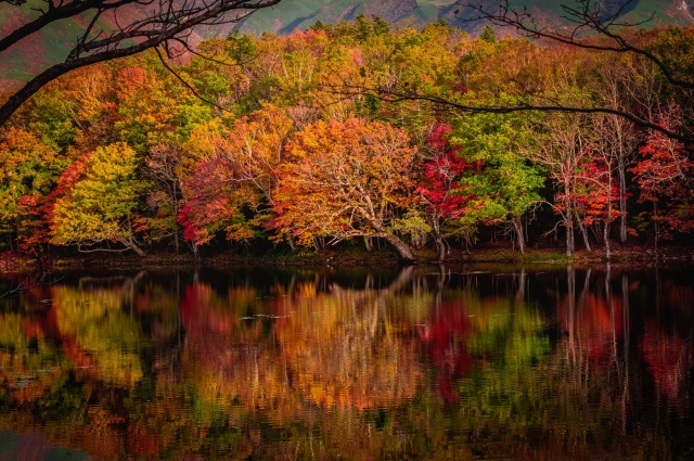 Shiretoko National Park Nature Center