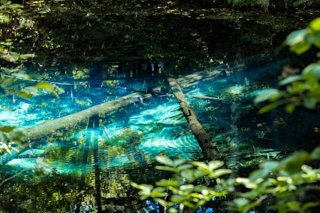 Kaminoko Pond