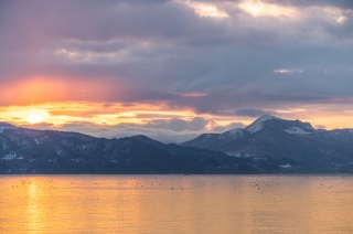 礼文華海岸（約60分）