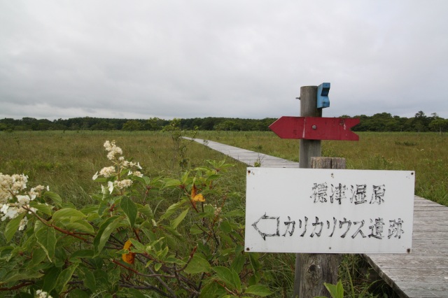 標津町ポー川史跡自然公園