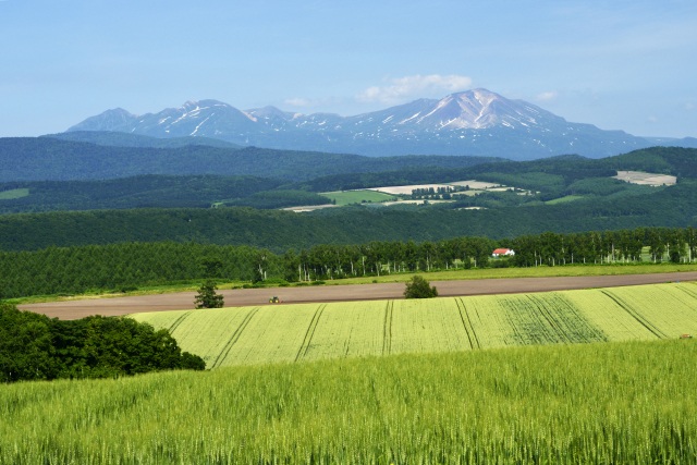 Shujitsu Hill