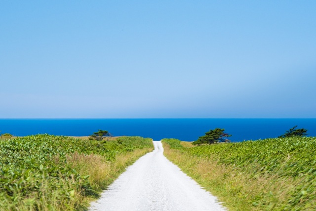 White Path, Soya Hills