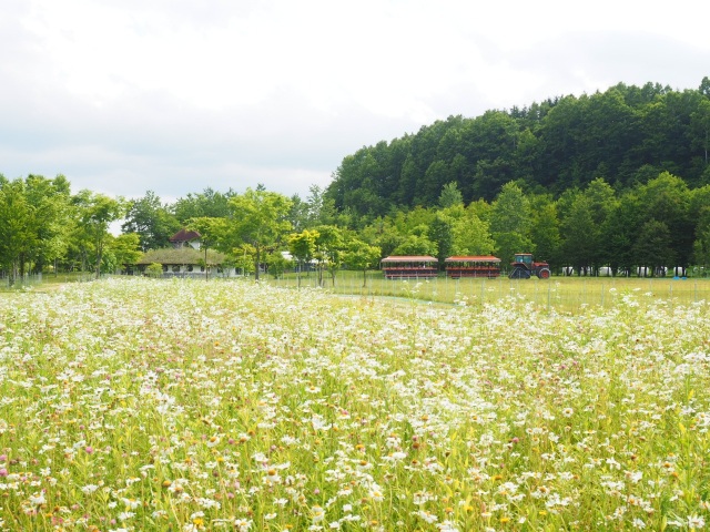 ECORIN村