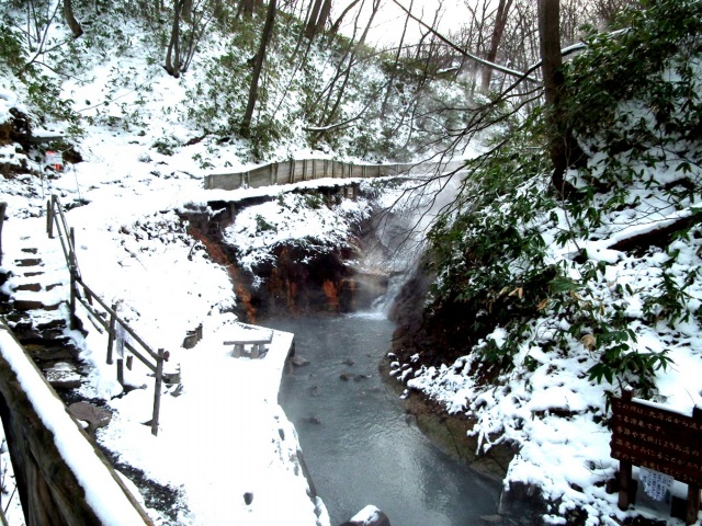 大湯沼川天然足湯