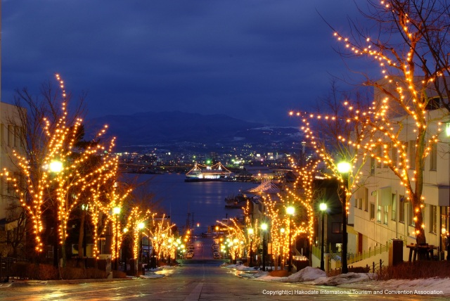 Hakodate Illumination