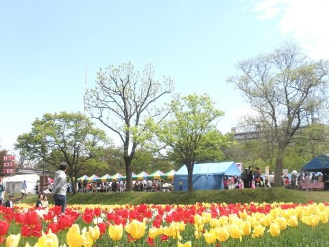 くしろチューリップ＆花フェア