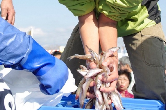 門別ししゃも祭り