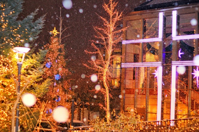 藻岩シャローム教会イルミネーション&クリスマスツリー