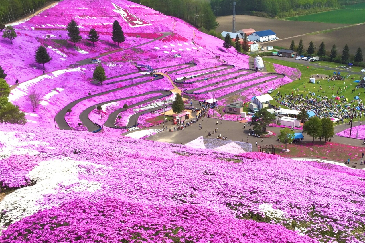 ひがしもこと芝桜公園