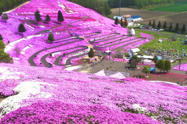 ひがしもこと芝桜公園・ひがしもこと芝桜まつり