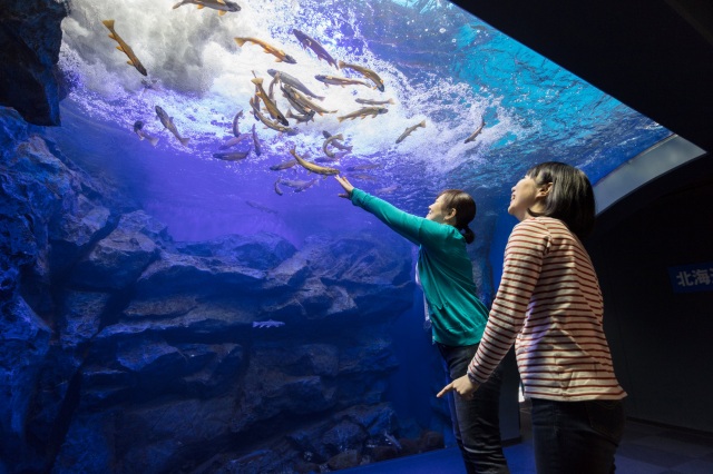 北の大地の水族館（山の水族館）