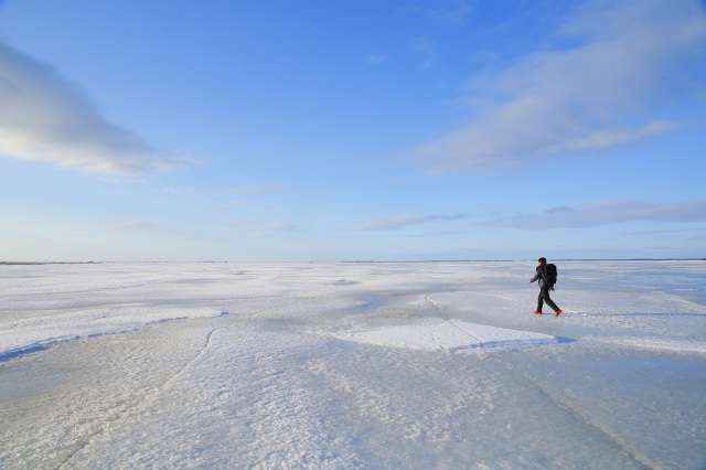 Frozen Horizon Walk