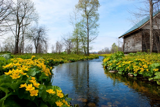 六花の森（北海道ガーデン街道）