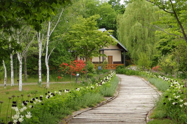 幕別町　十勝山丘