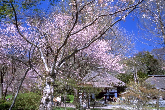 Usu-Zenkoji Temple