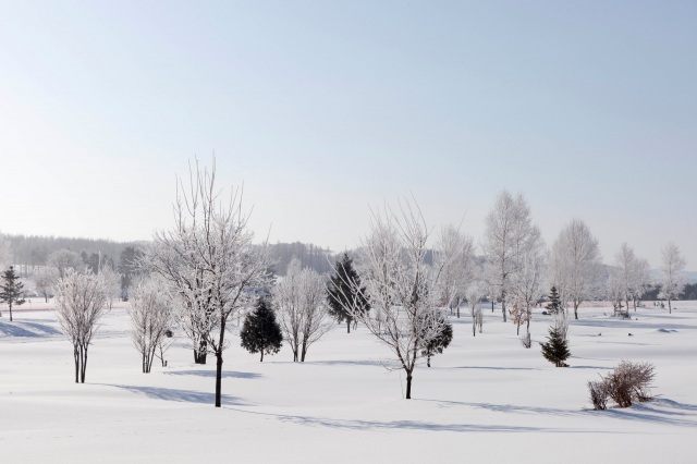 北海道立太陽柱公園