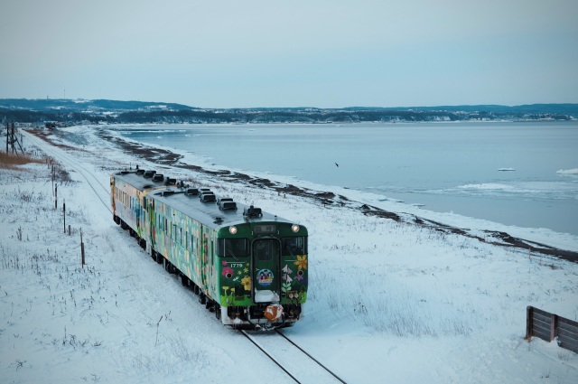 Ryuhyo Monogatari Train