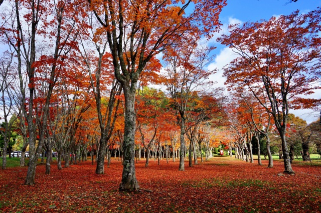 笹流ダム前庭広場