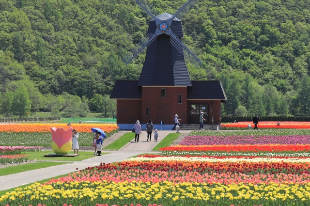 Kamiyubetsu Tulip Park・Kamiyubetsu Tulip Fair