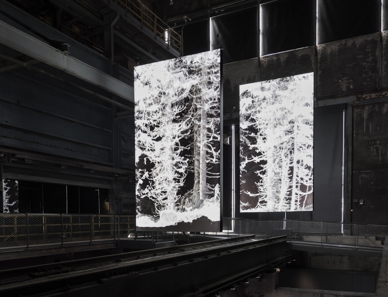 ➀クアヨラ《Remains: Vallée de Joux》2018 Photo by Franz WAMHOF