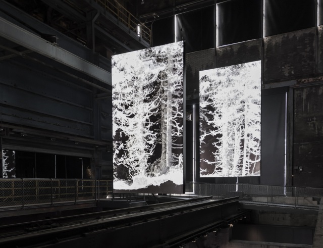 ➀クアヨラ《Remains: Vallée de Joux》2018 Photo by Franz WAMHOF