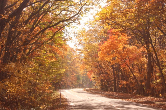 大沼の紅葉はまさに絶景