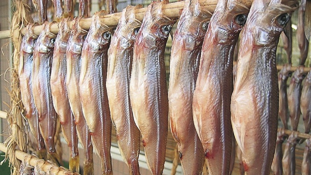 鵡川柳葉魚
