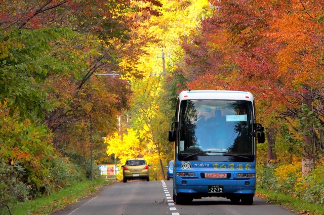 Koyo Kappa Bus