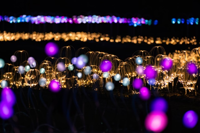Mountain Lights（マウンテンライツ）